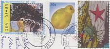 19.06.2003: Charlestown, Nevis<!--Mielcarek Ameryka Karaiby relacja-->